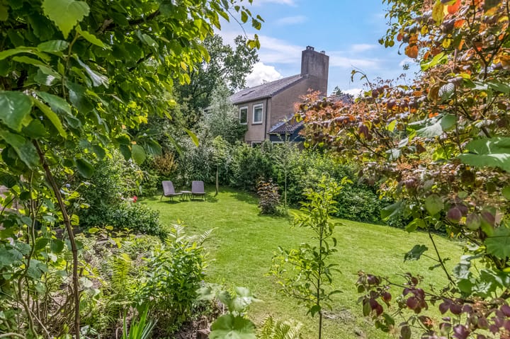 Foto 3 van Callunaheuvel 4