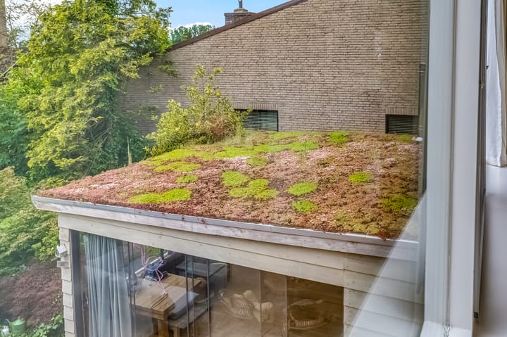 Foto 15 van Callunaheuvel 4