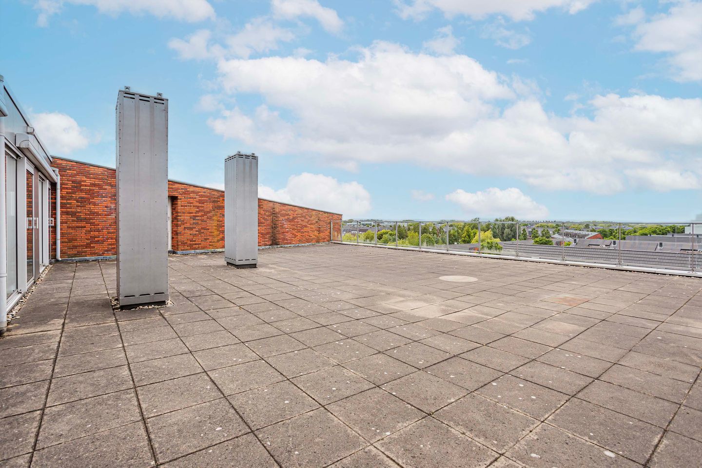 Foto 4 van Moerasvaren 145