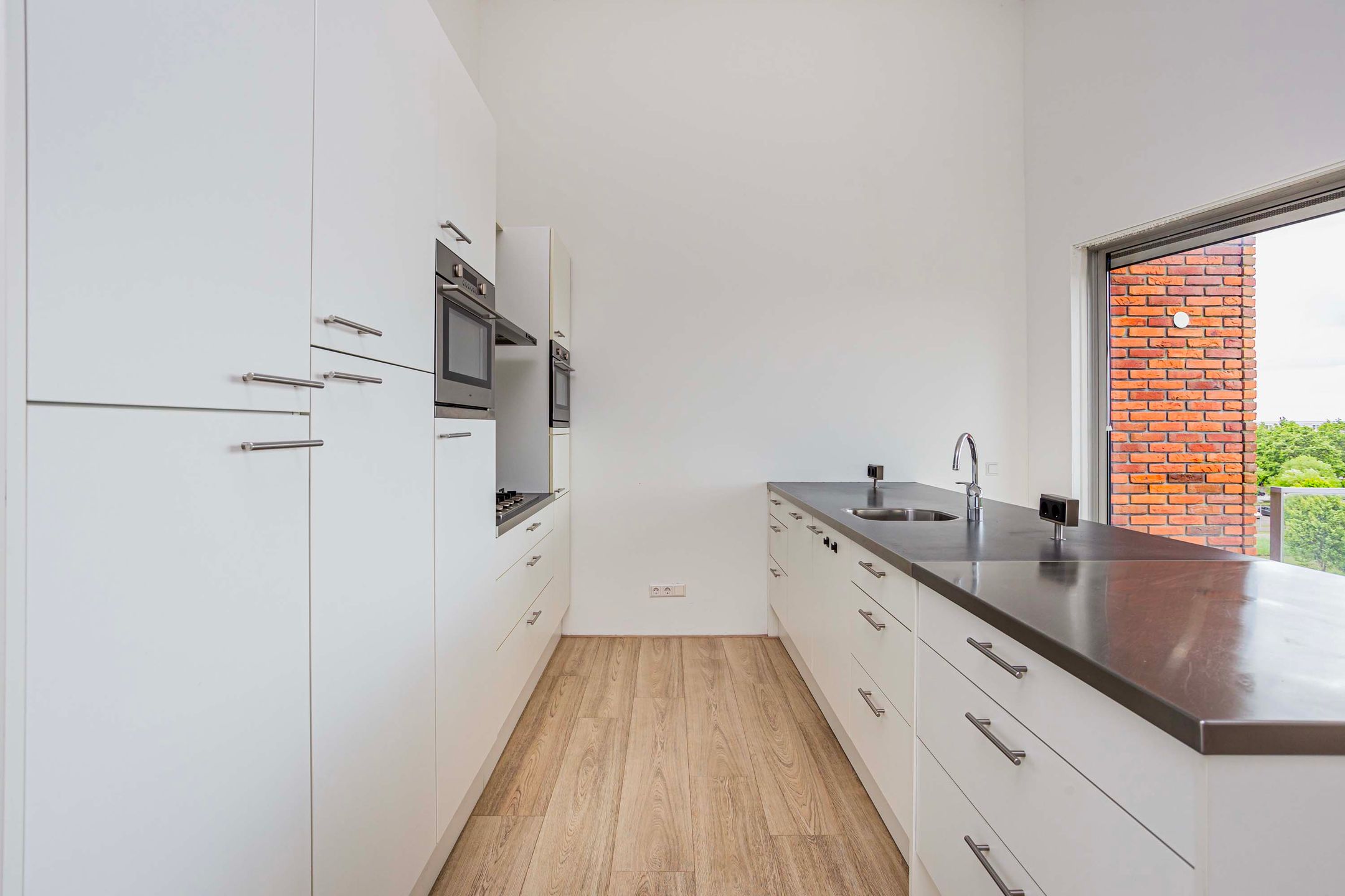 Foto 9 van Moerasvaren 145