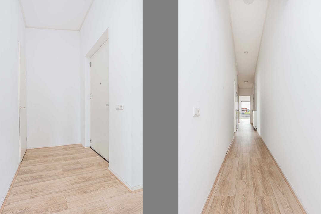 Foto 13 van Moerasvaren 145