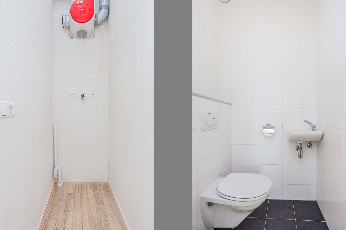 Foto 14 van Moerasvaren 145