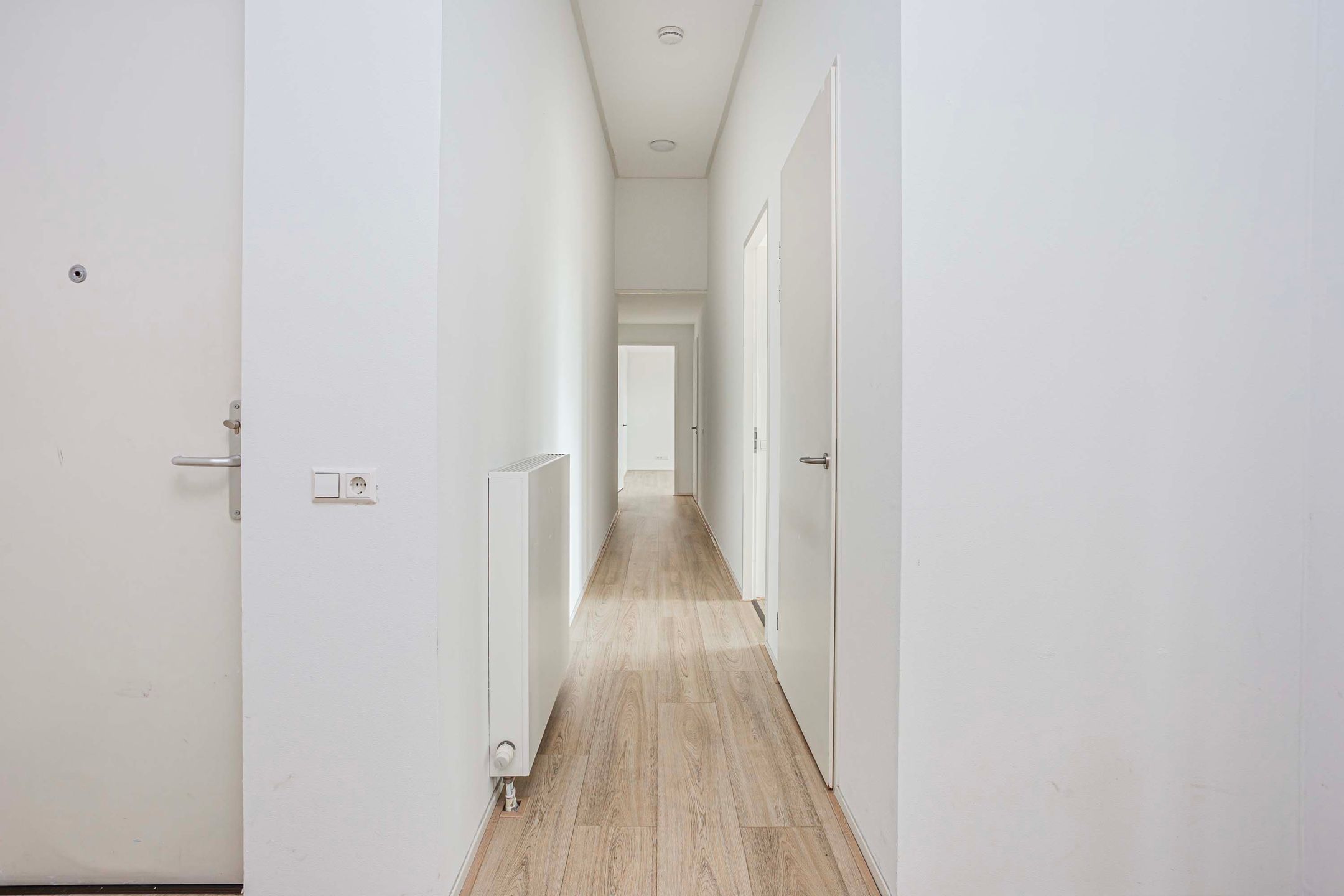 Foto 15 van Moerasvaren 145