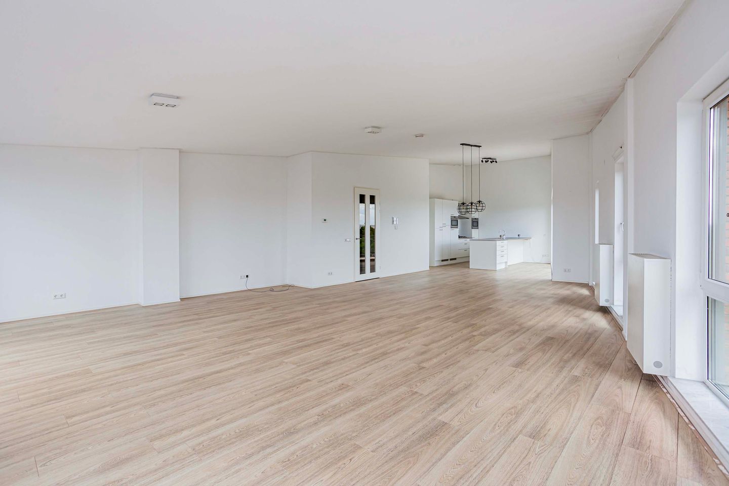 Foto 20 van Moerasvaren 145