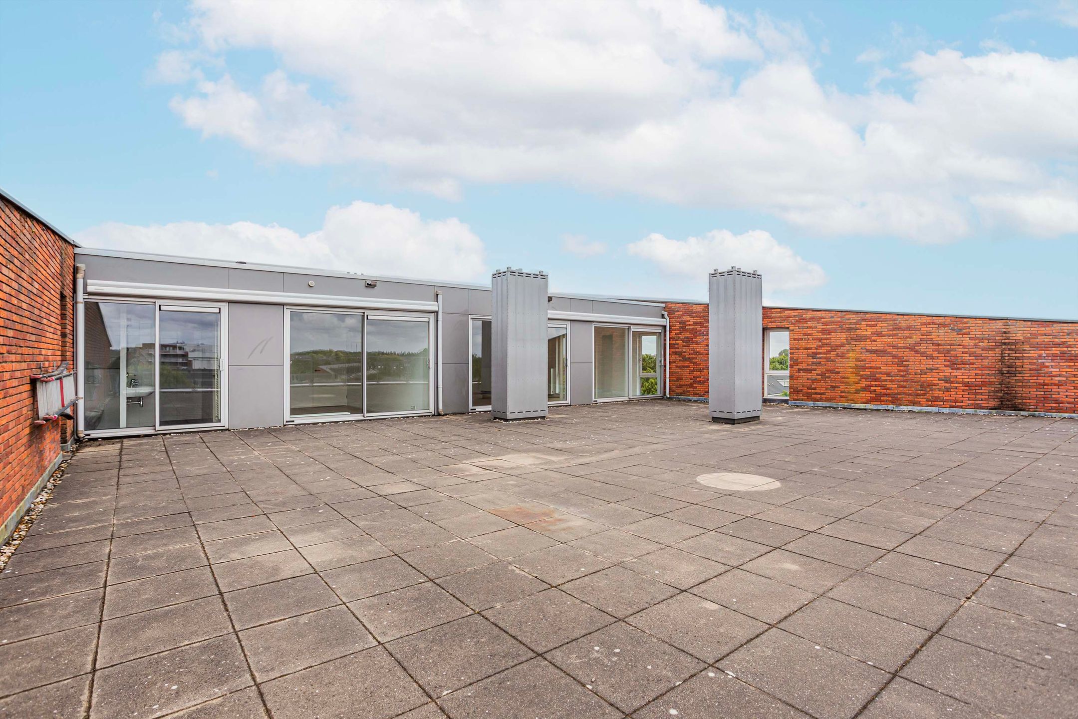 Foto 21 van Moerasvaren 145