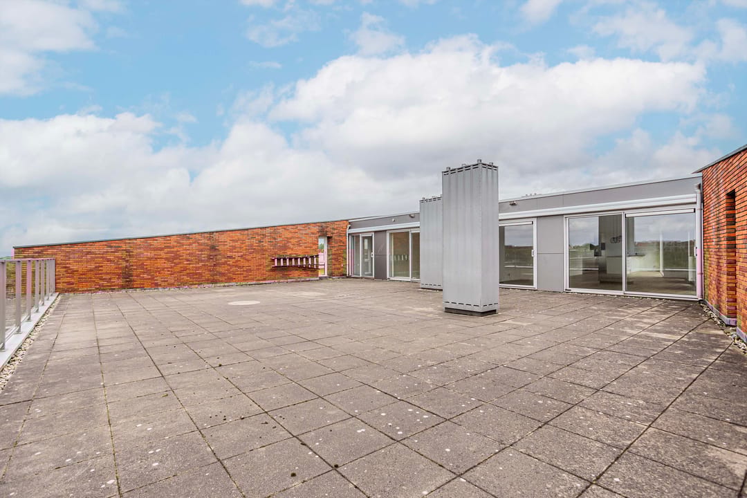 Foto 22 van Moerasvaren 145