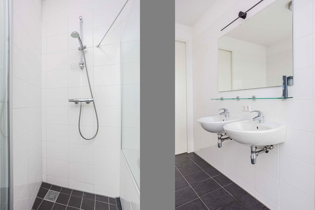 Foto 31 van Moerasvaren 145