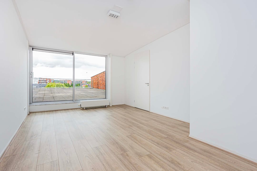 Foto 32 van Moerasvaren 145