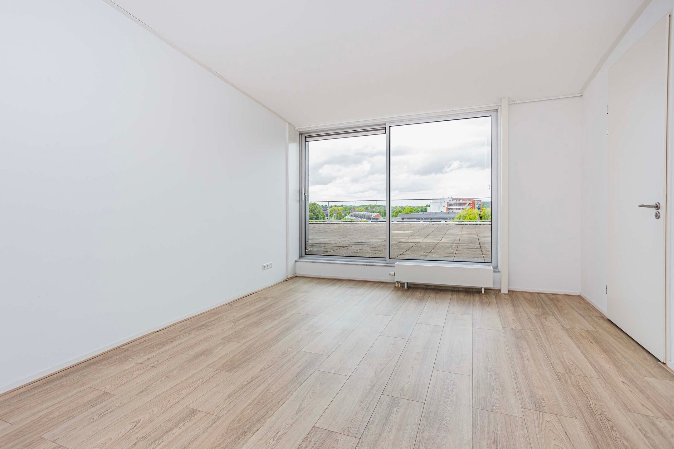 Foto 33 van Moerasvaren 145