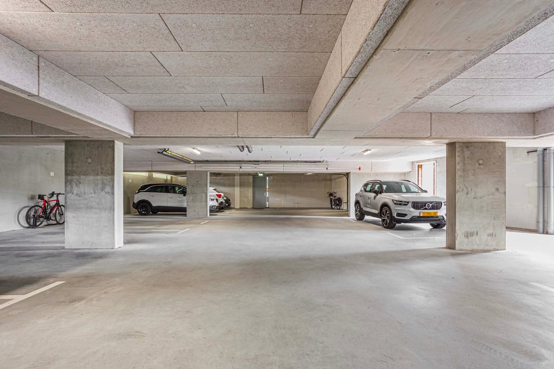 Foto 38 van Moerasvaren 145