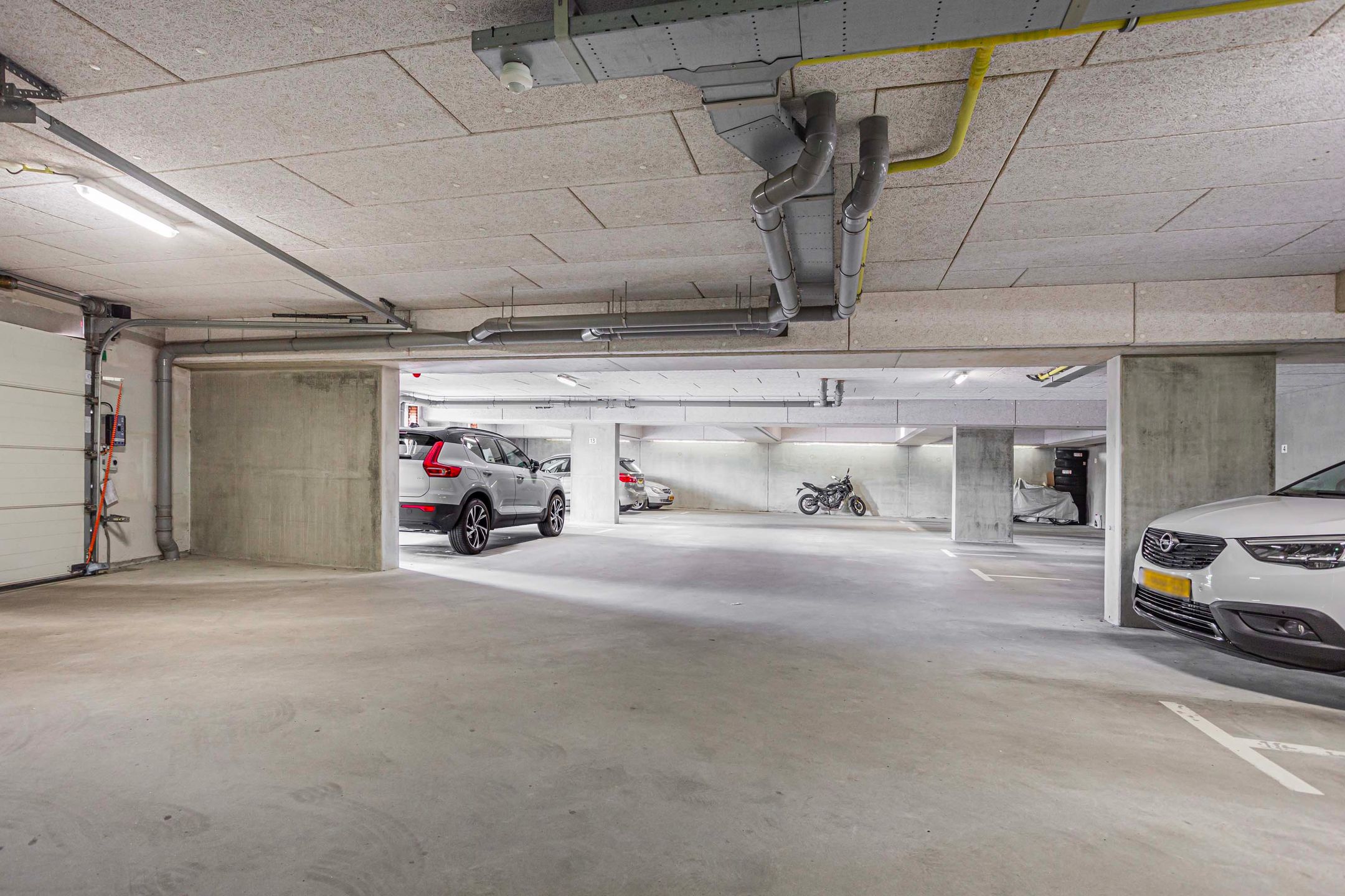 Foto 39 van Moerasvaren 145