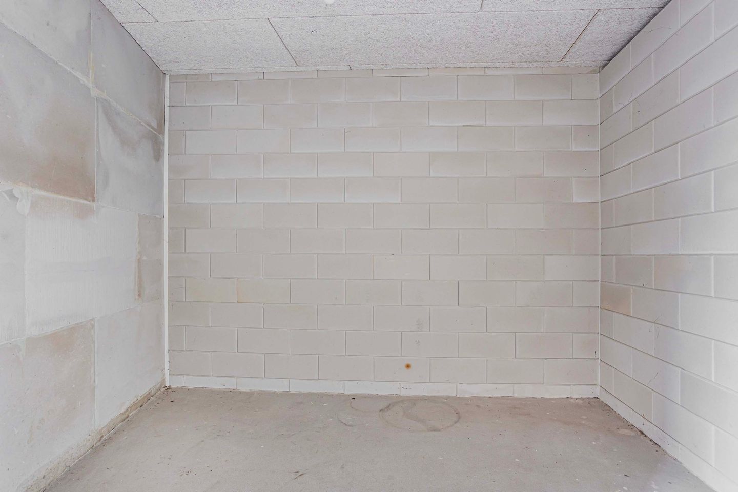 Foto 40 van Moerasvaren 145