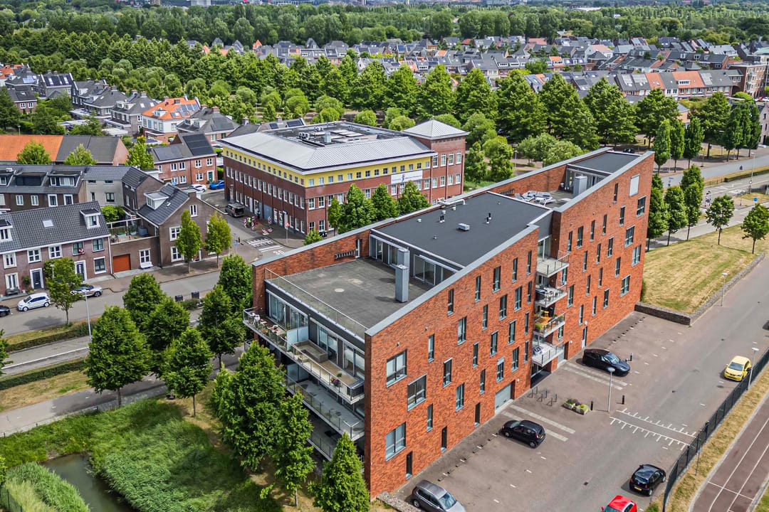 Foto 41 van Moerasvaren 145