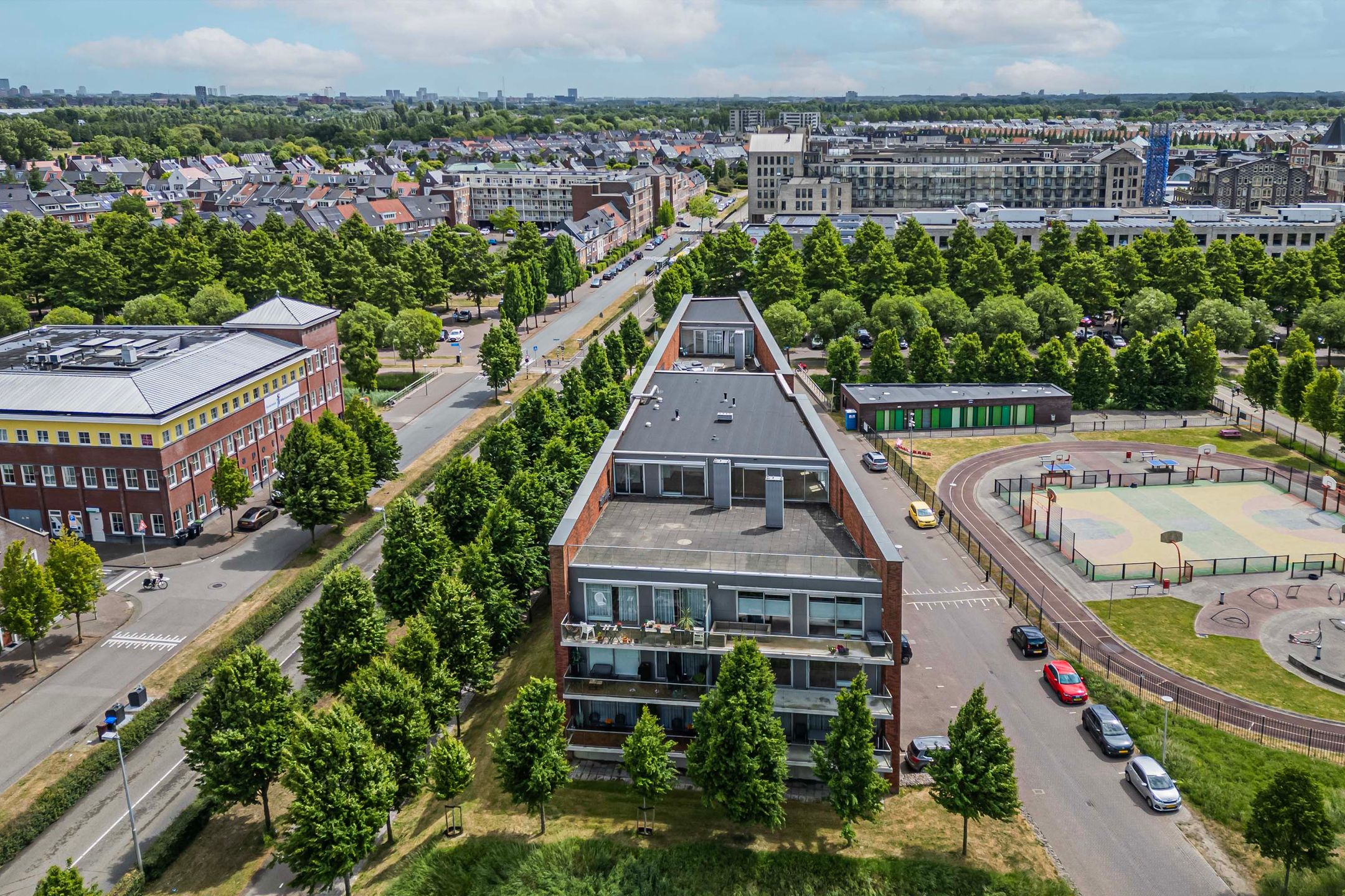 Foto 42 van Moerasvaren 145