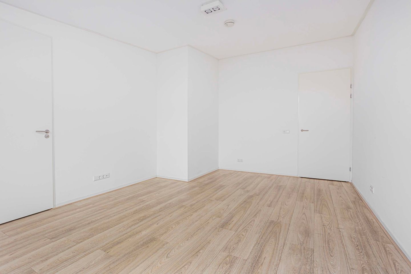 Foto 34 van Moerasvaren 145