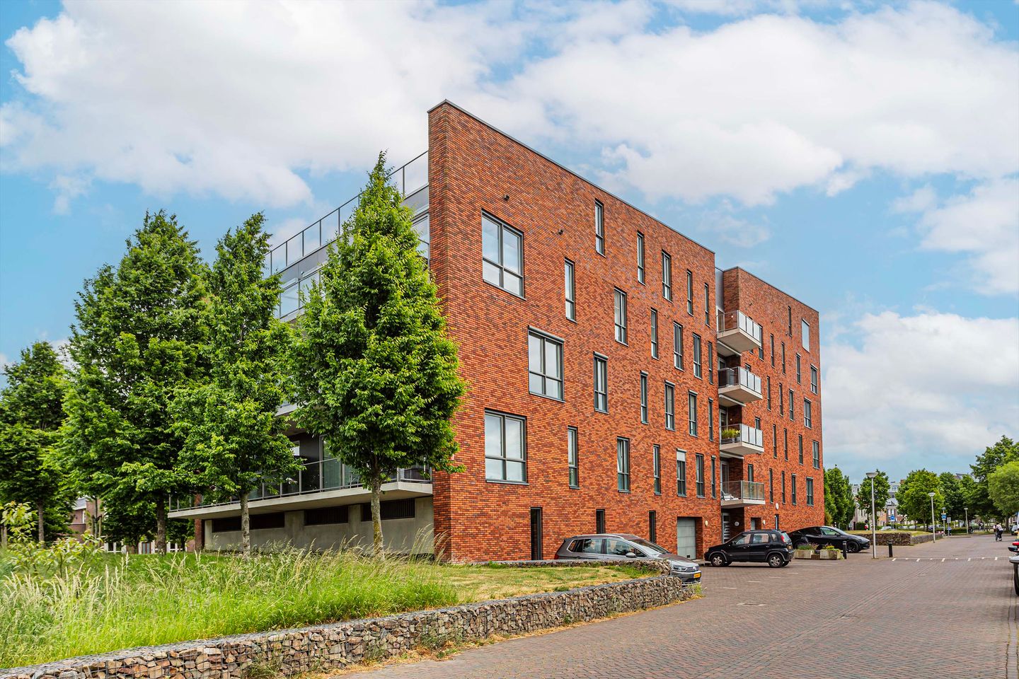 Foto 44 van Moerasvaren 145