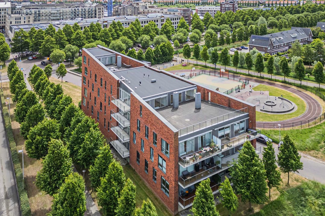 Foto 46 van Moerasvaren 145