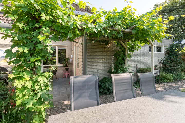 Foto 26 van Boskraai 45