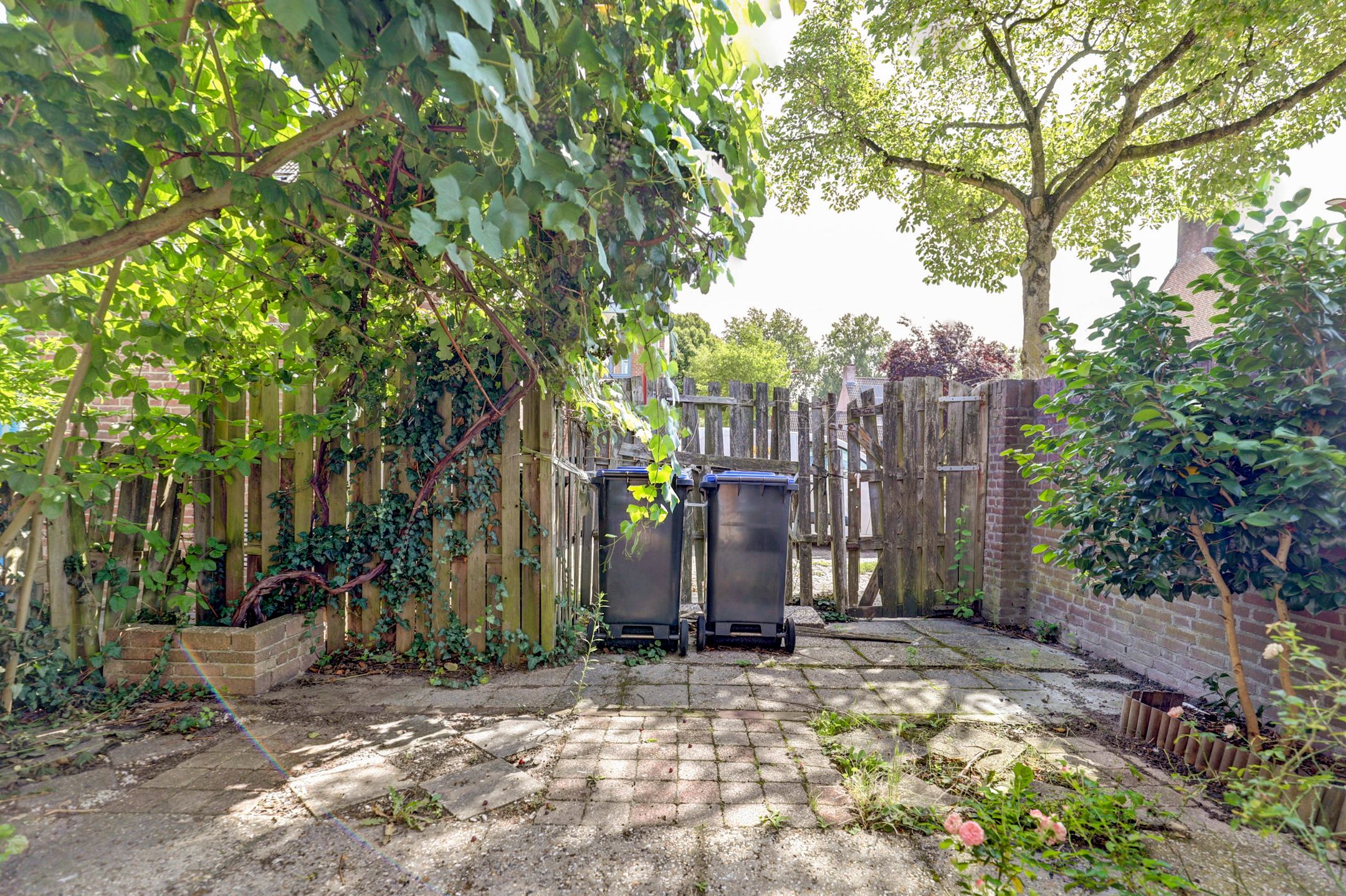 Foto 12 van Smaragddrift 1