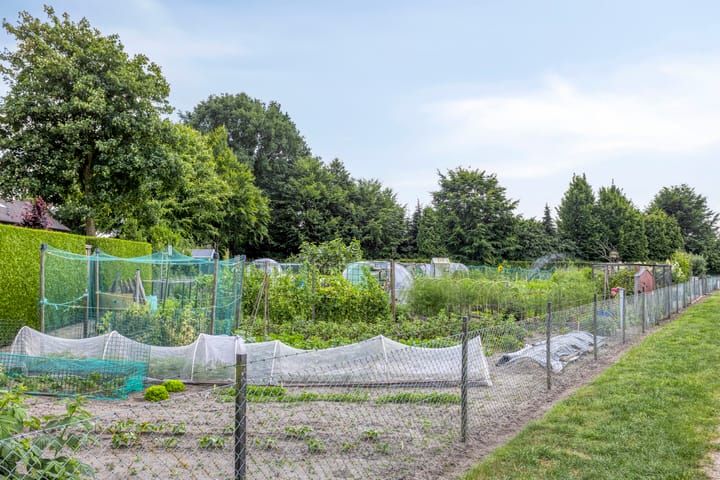 Foto 46 van Kerkakkers 1