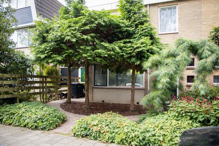 Foto 8 van Sint Matthijsstraat 13