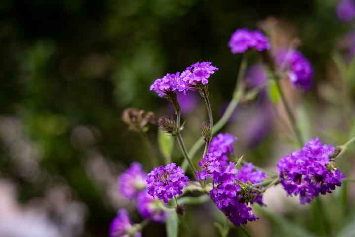 Foto 51 van Sint Matthijsstraat 13