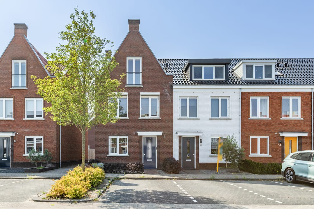 Foto 7 van Penningkruid 10