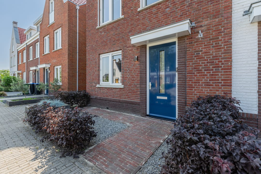 Foto 8 van Penningkruid 10