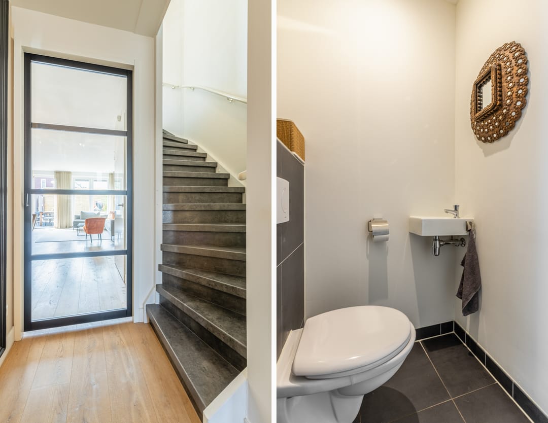 Foto 11 van Penningkruid 10