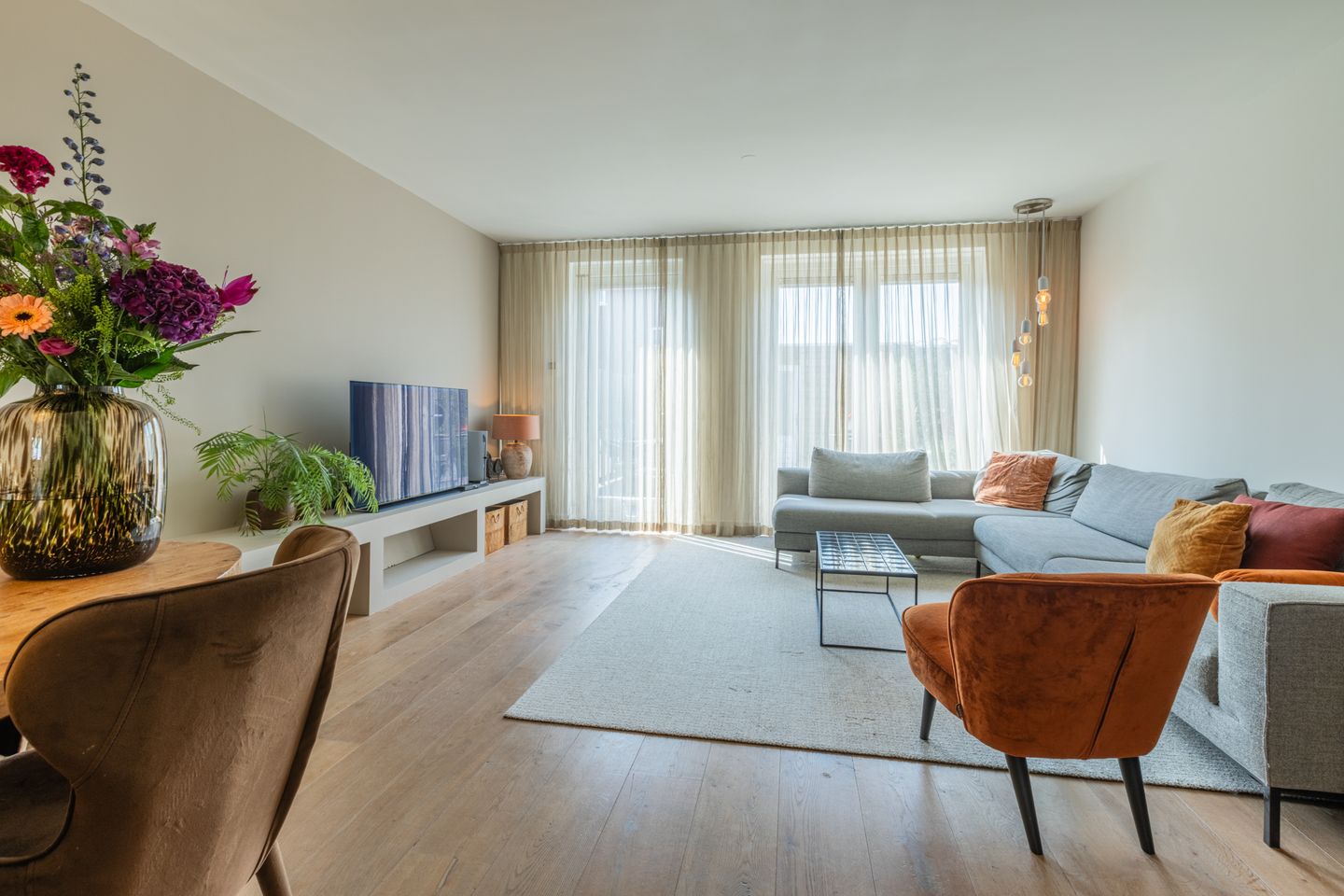 Foto 14 van Penningkruid 10