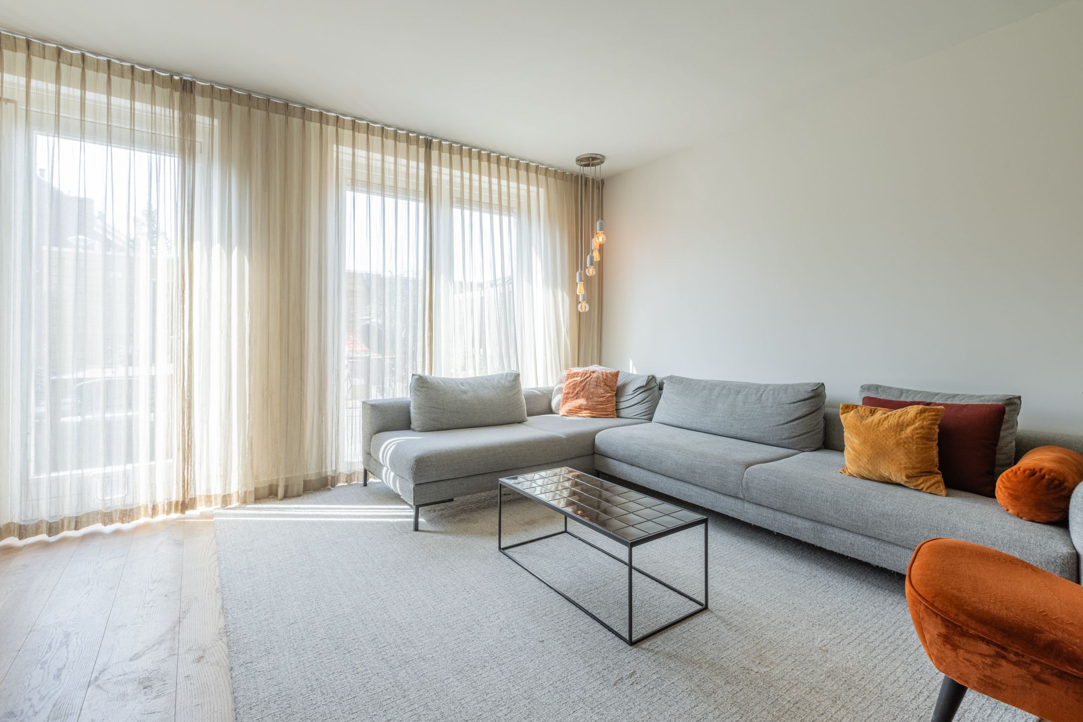 Foto 18 van Penningkruid 10