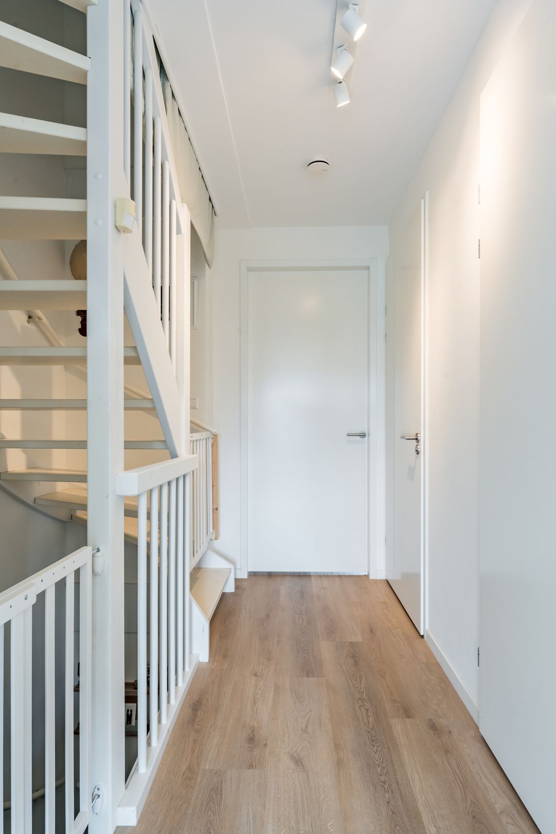 Foto 26 van Penningkruid 10