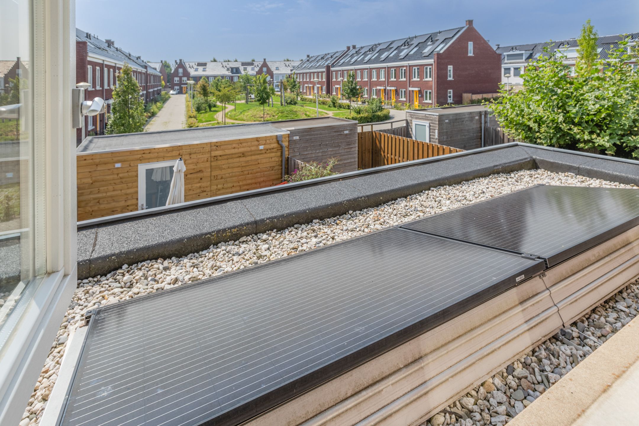 Foto 30 van Penningkruid 10