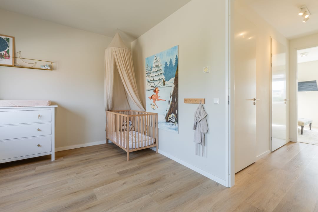 Foto 37 van Penningkruid 10