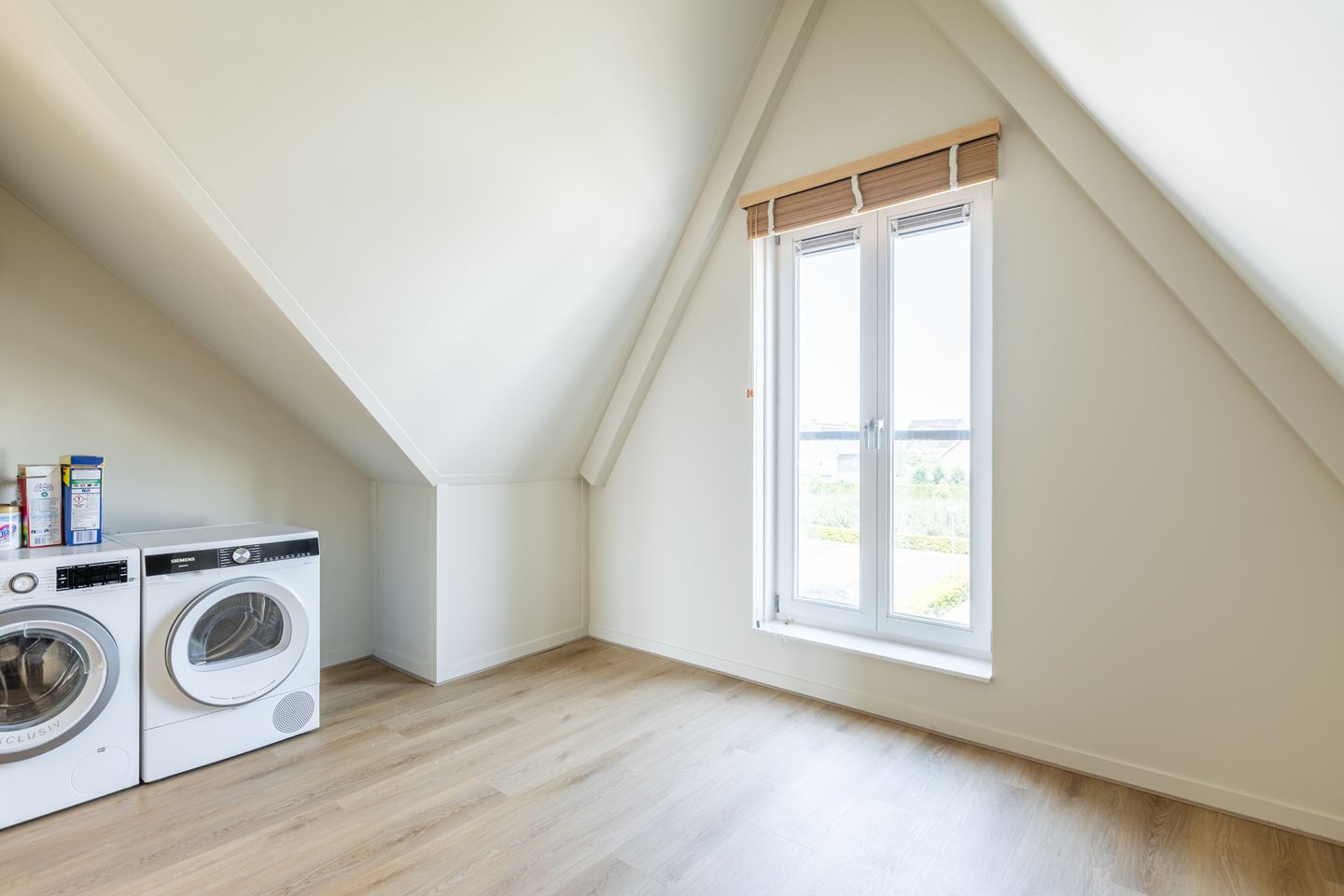 Foto 44 van Penningkruid 10