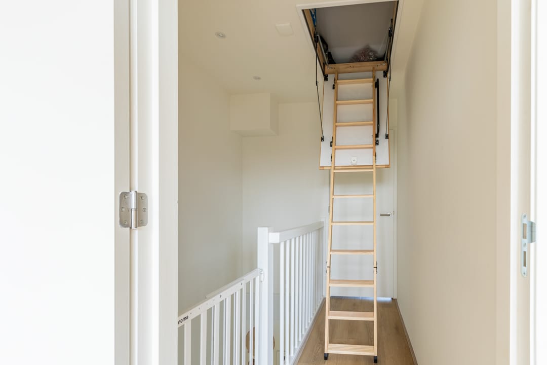 Foto 47 van Penningkruid 10