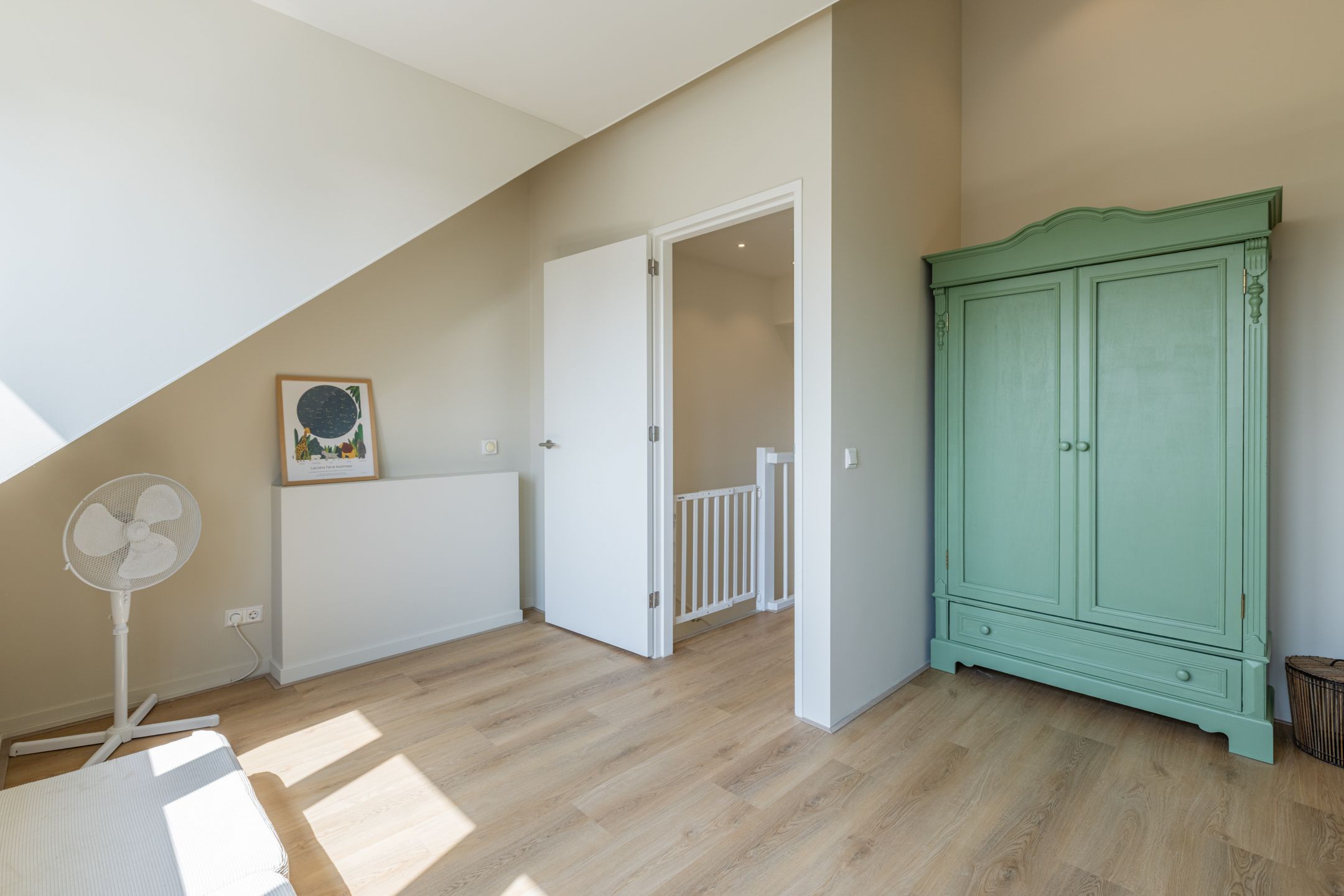 Foto 48 van Penningkruid 10