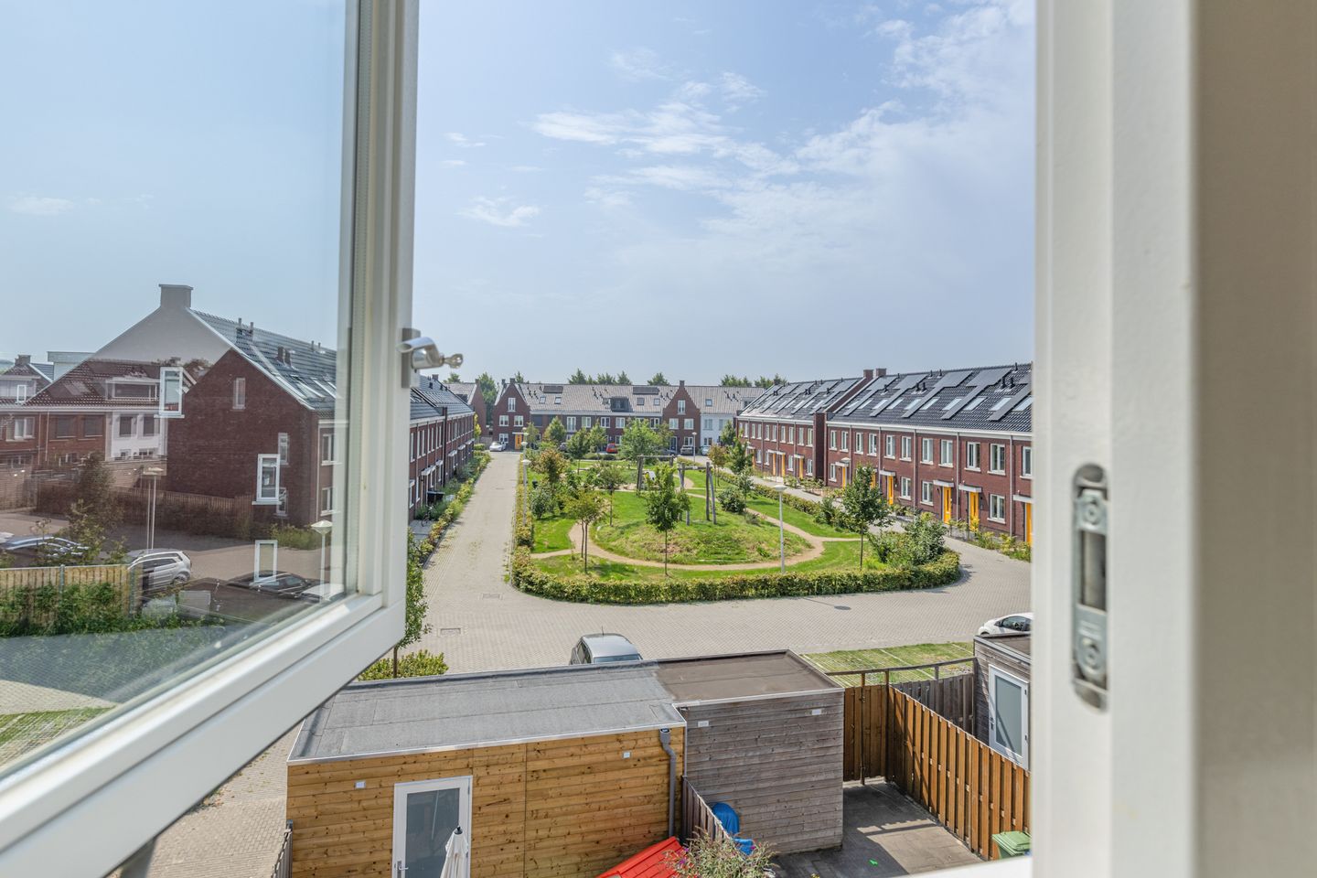 Foto 50 van Penningkruid 10