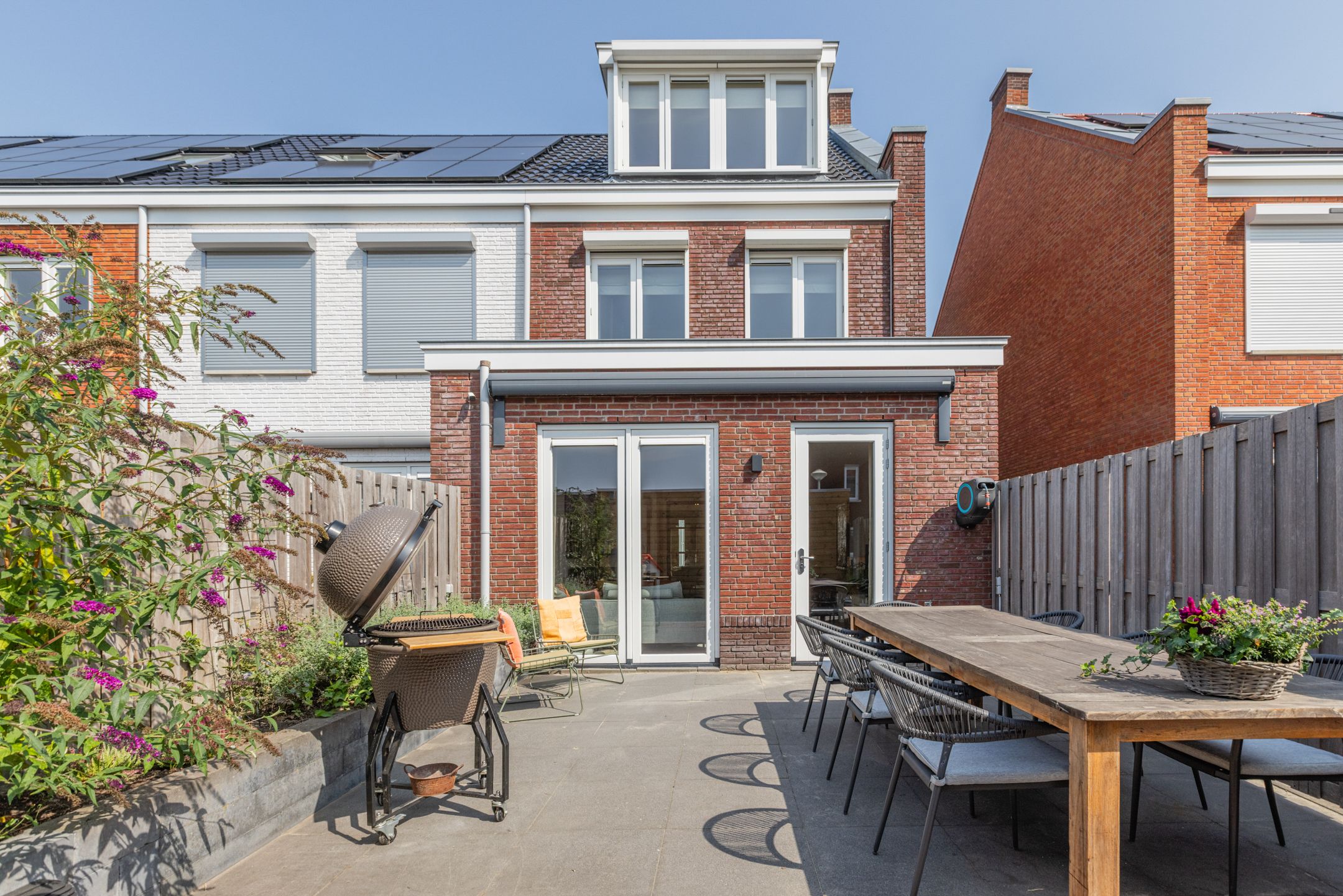 Foto 51 van Penningkruid 10