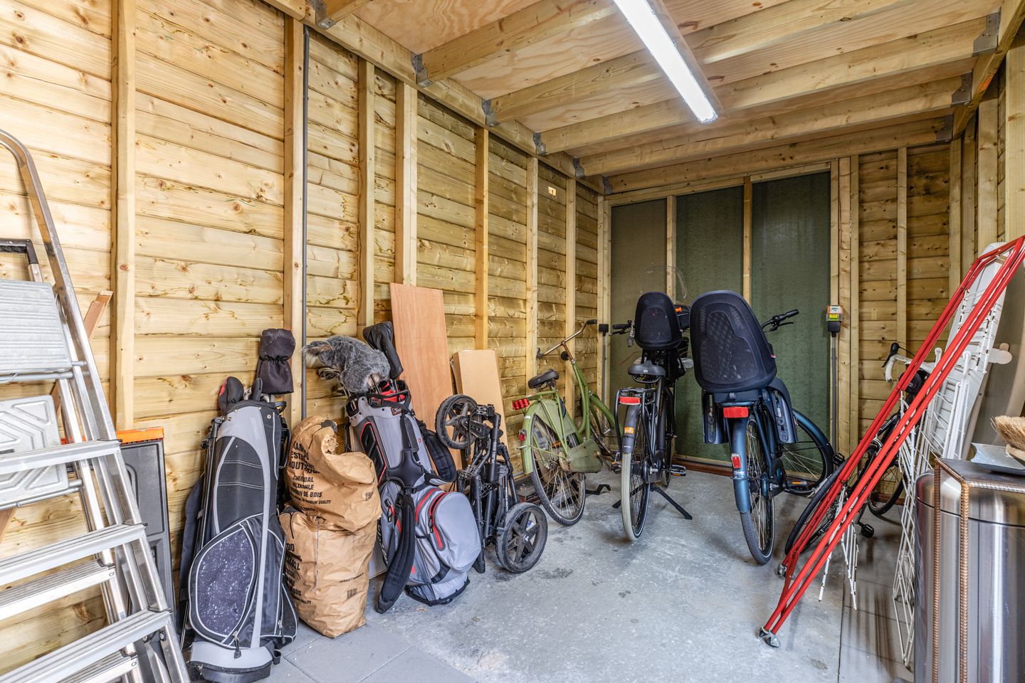 Foto 55 van Penningkruid 10