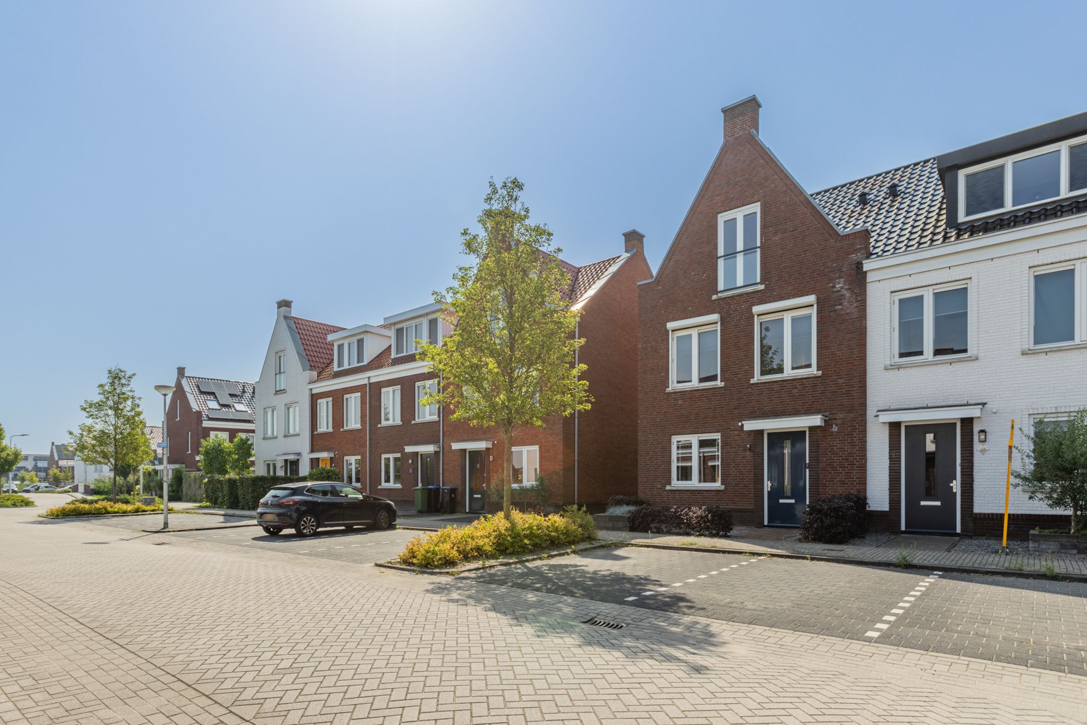 Foto 57 van Penningkruid 10