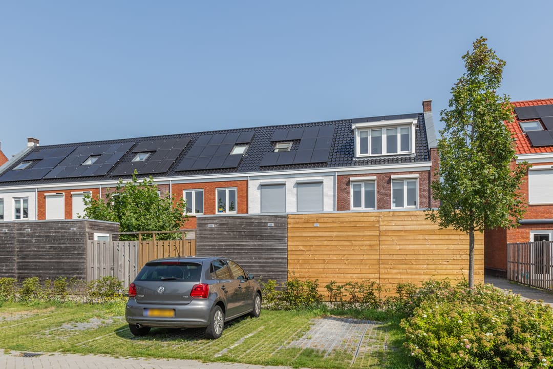 Foto 58 van Penningkruid 10