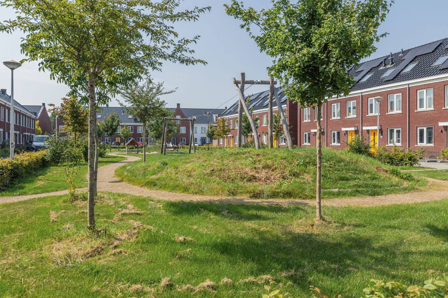 Foto 59 van Penningkruid 10