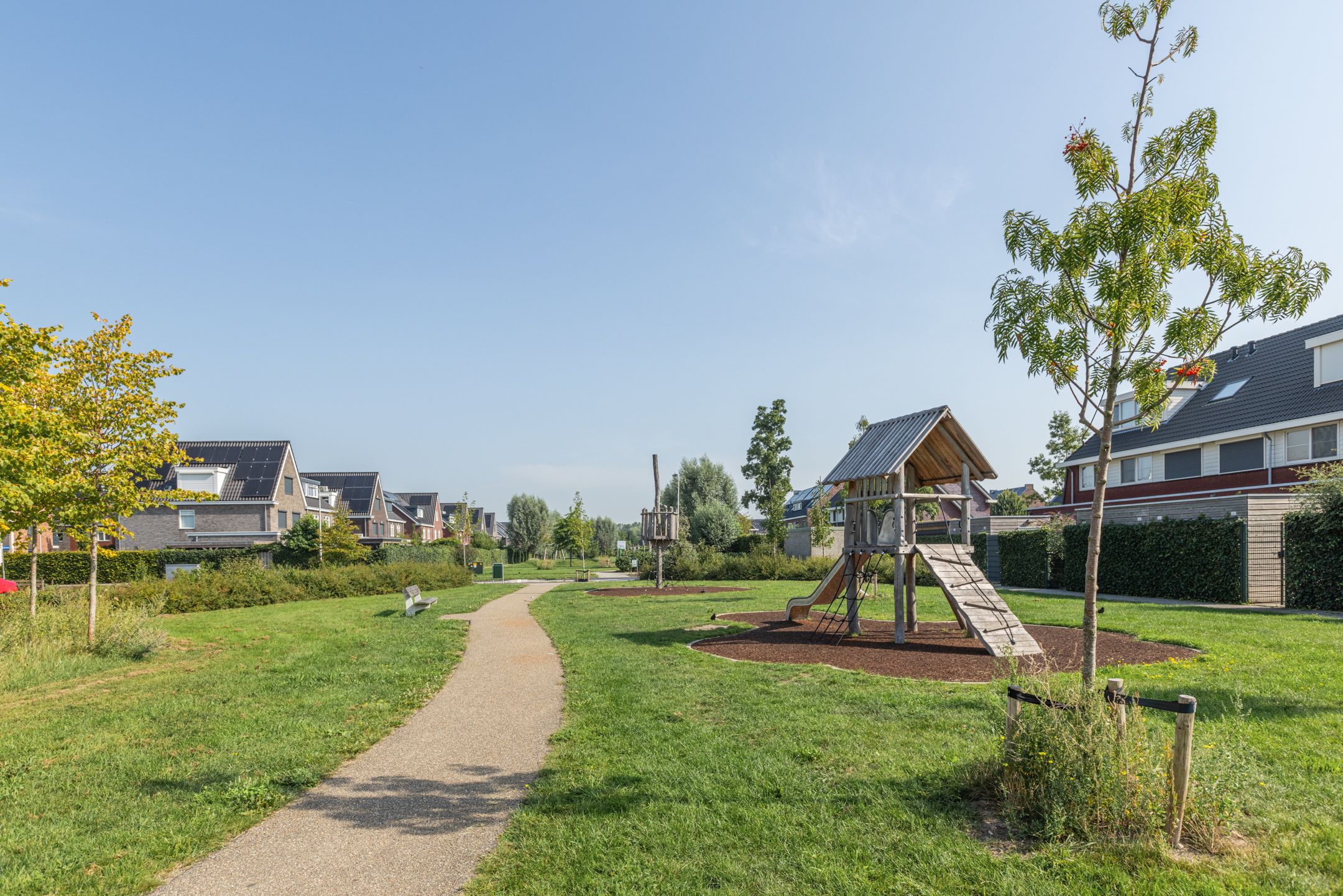 Foto 60 van Penningkruid 10