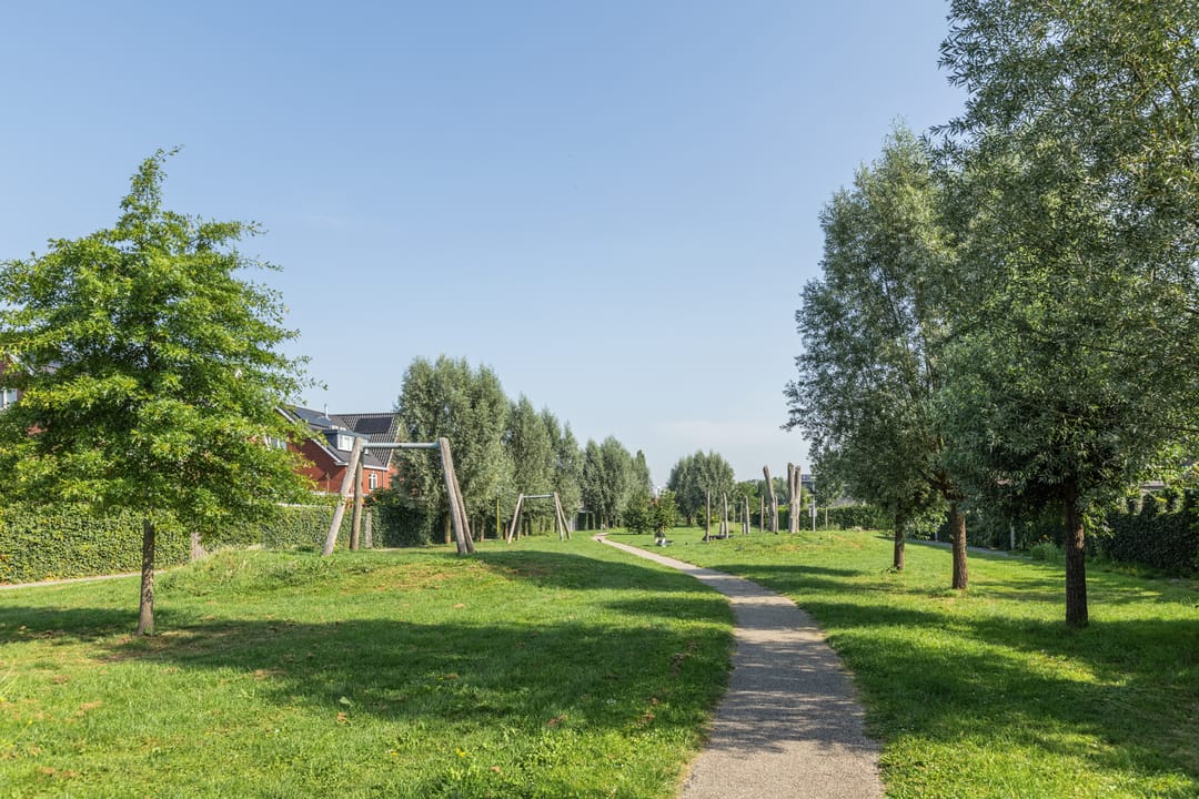 Foto 61 van Penningkruid 10