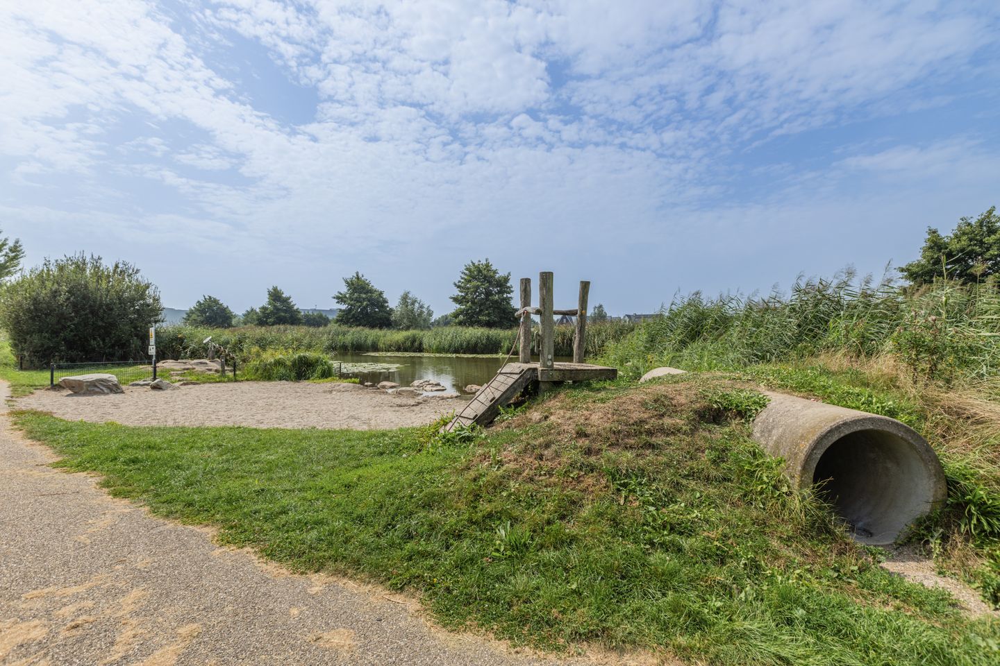 Foto 64 van Penningkruid 10