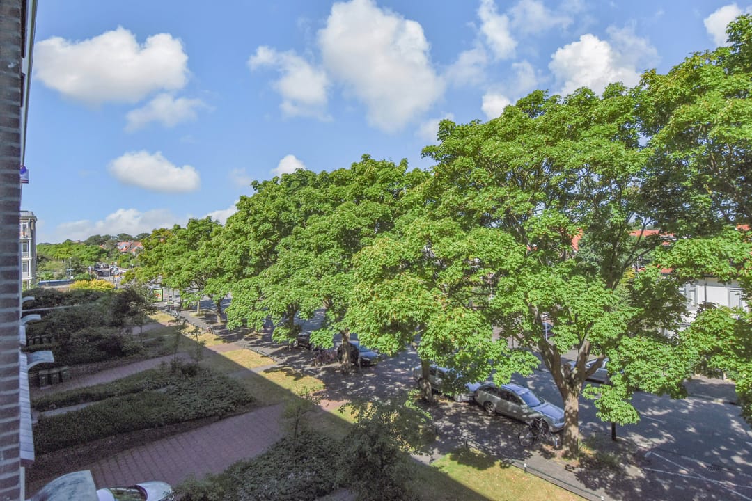 Foto 26 van Sportlaan 640