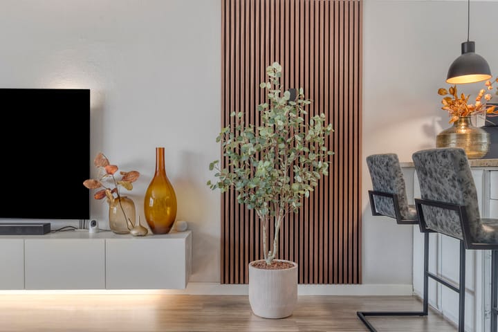 Foto 9 van Hondsrug 84