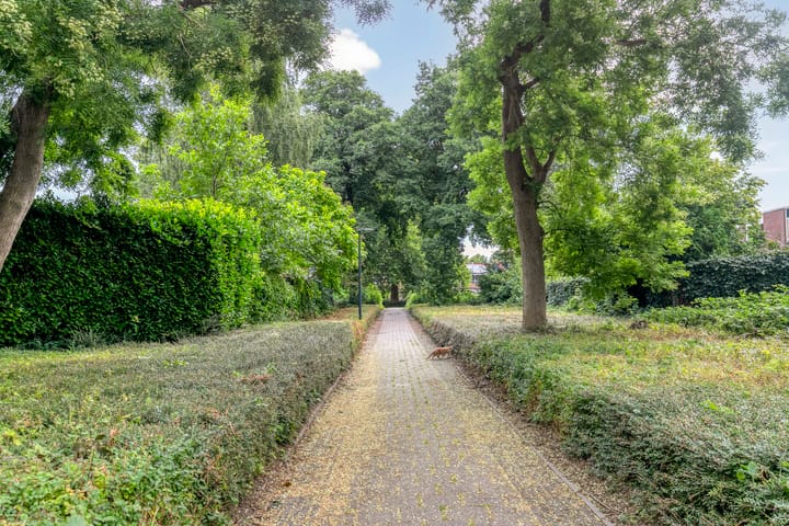 Foto 28 van Hondsrug 84