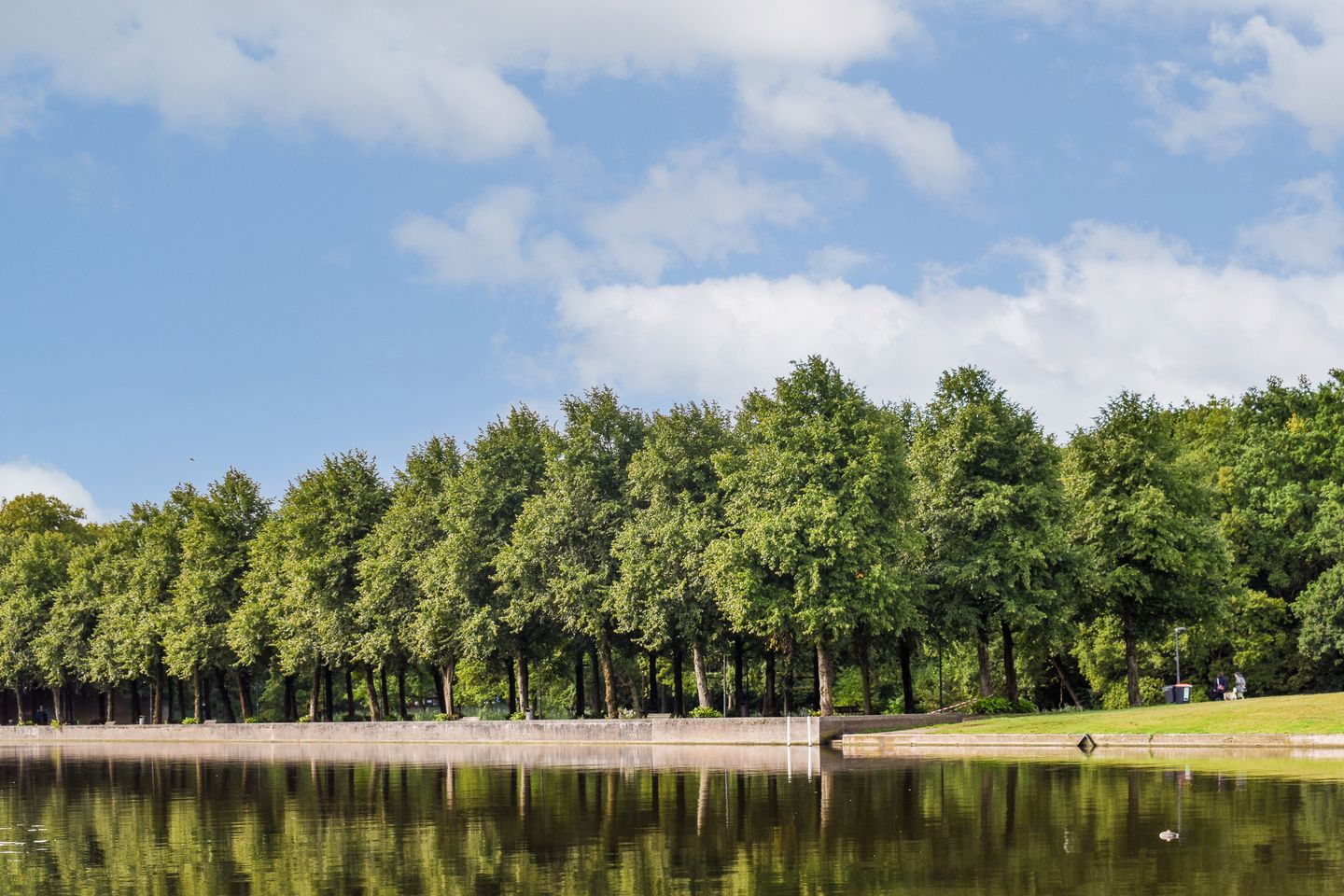 Foto 29 van Esmoreitstraat 5-1